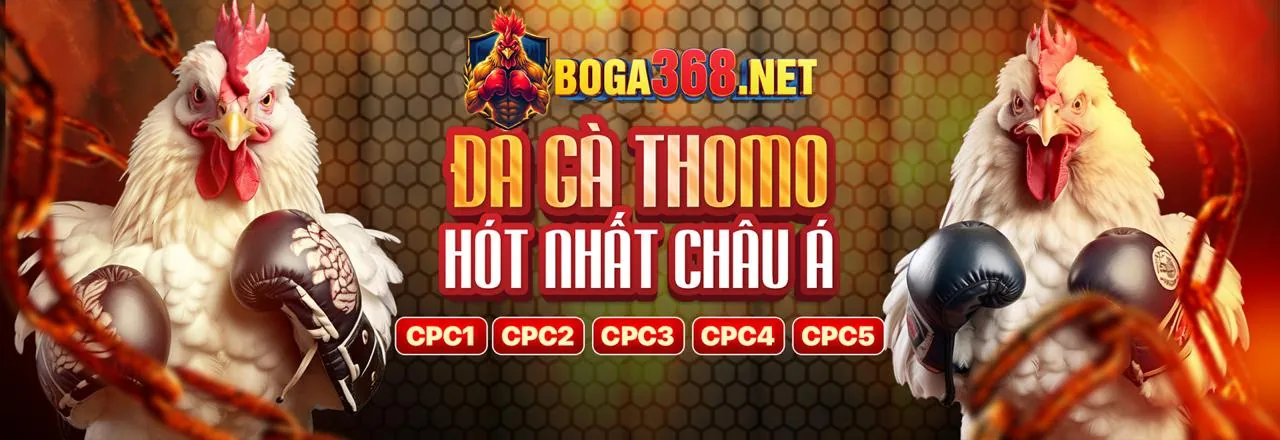 Đá gà trực tuyến kịch tính tại Kèo Bóng Đá 88 Trực Tiếp
